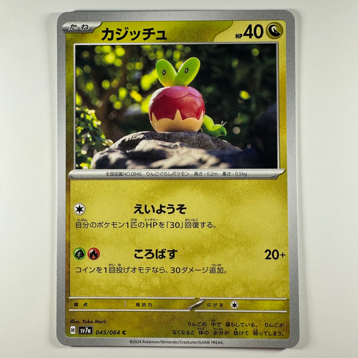 Pokémon Applin #45 Paradise Dragona (Japanese)